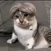 pinglipu