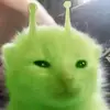 nightmarecolom