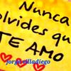 jorgevilladiegop13mfyz