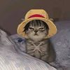 leo.gardeh