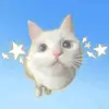 bluwishes