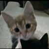 cesarjrc