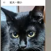 mitsurufujita