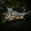 luis_consti