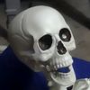randomgamer42105