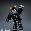 re_xi999
