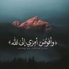 rafatahmad373