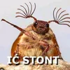 dearcaroline7