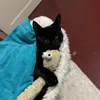 nikola.ian