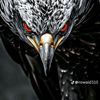 amirali5921594