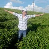 phuong79791995