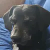 ferbrunoo7