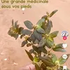 vie_ta_vie52