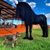 Rancho Las Esmeraldas