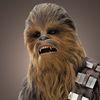 wookieepe
