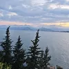 haniyaxoxos