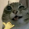 sha1nh
