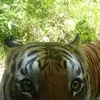 dima_samuraii