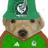mexican_stars652