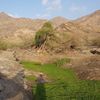 al_zahrani06