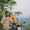 mdhossan394
