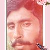 mshahbazshahbaz604