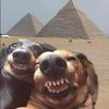 aliiyah_the_great3
