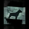 familiabullterrierbogota
