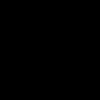 naniindhsr13