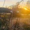 nisse_lantz_08