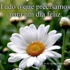 marialuiza.al