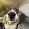 _sscracksniffer