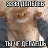 sasasasas4716