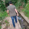 ayvasivoy