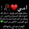mohamed.dylbkegzus3p