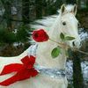 user00967738717134