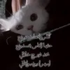 yq_4o