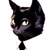 kuro_neko_sam