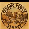 feedingperrisstrays