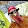 walkinhawk