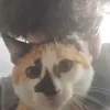 pedrodomoxx