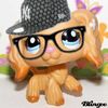 allgirlsummerfunband