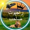 jamal.raajput.297