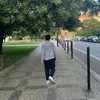lucas_alvar3s