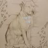 dangreen322