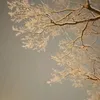 .nikura