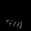 blackweb71