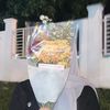 ri_si1