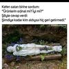 useri_gg