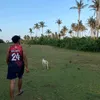 joshmathewmacamus